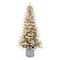 6ft. Pre-Lit Arctic Fir Artificial Potted Christmas Tree, Warm White LED Lights